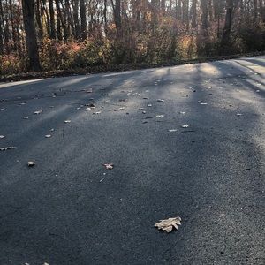 Meet your Posher, Thomas